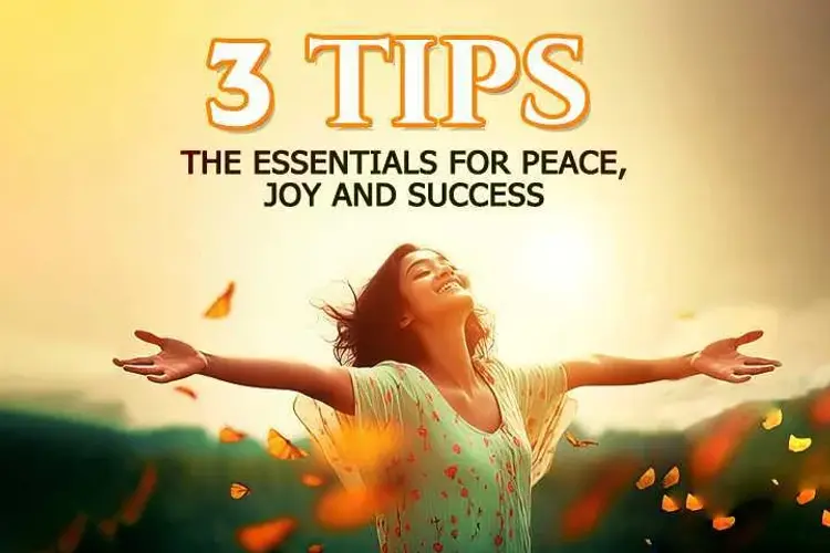 3 Tips: The Essentials for Peace Joy and Success in hindi | undefined हिन्दी मे |  Audio book and podcasts