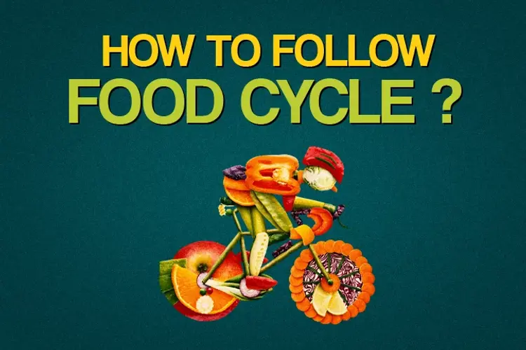 How to follow Food Cycle? in kannada |  Audio book and podcasts