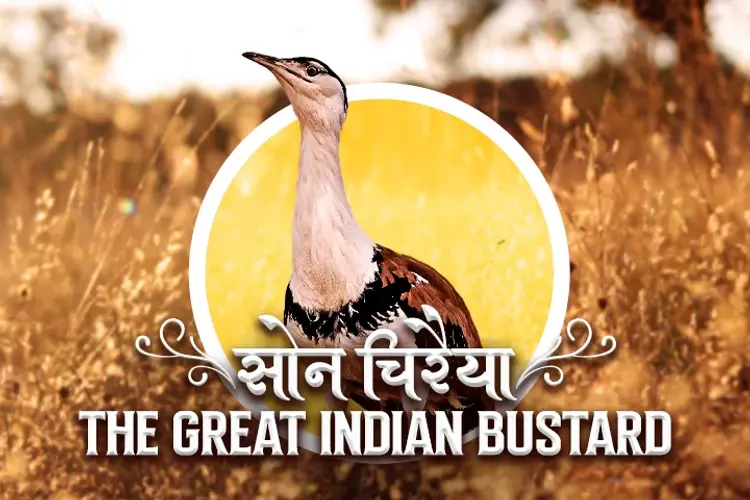The Great Indian Bustard in hindi | undefined हिन्दी मे |  Audio book and podcasts