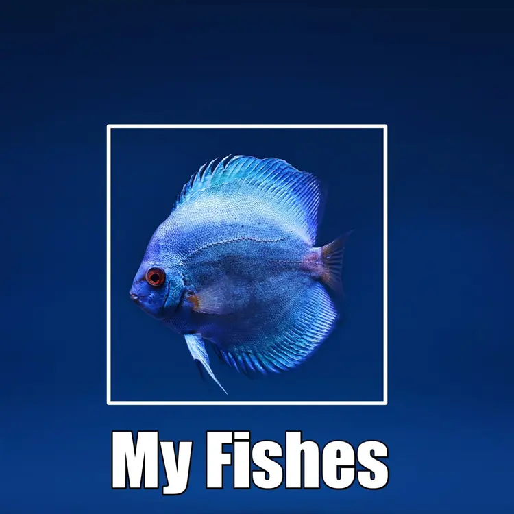 My Fishes in  |  Audio book and podcasts